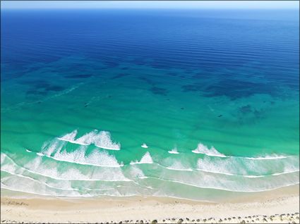 Whales - Head of Bight - SA SQ (PBH3 00 28953)